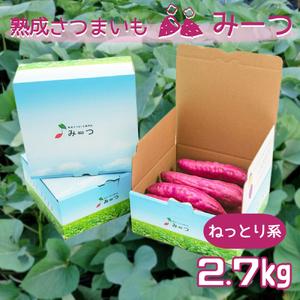 ふるさと納税 熟成さつまいも みーつ (ねっとり系) 2.7kg 徳島県鳴門市