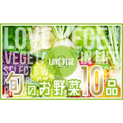 ふるさと納税 山口県 下関市 野菜 果物 フルーツ 旬 詰め合わせ セット 10種 採れたて 新鮮 下関市 山口