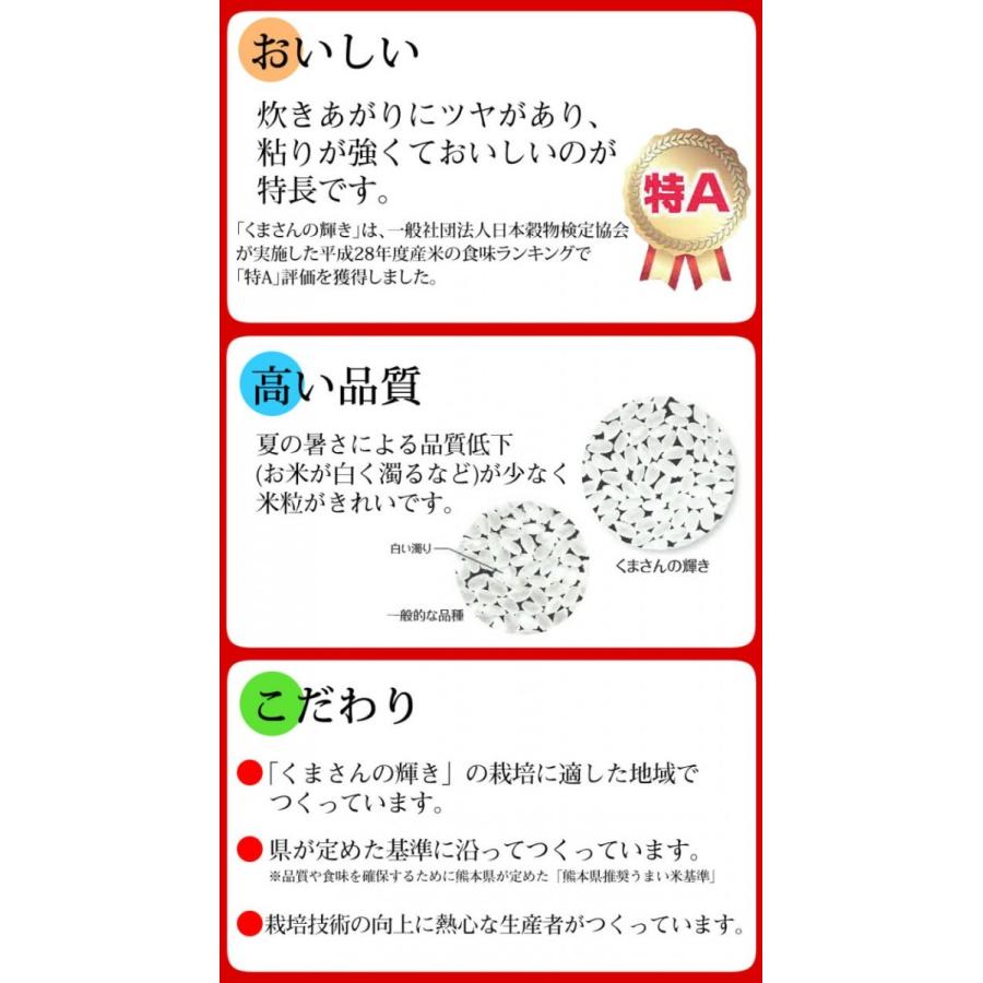 くまさんの輝き 米 送料無料 2kg 令和5年産 熊本県産 お米 白米 玄米 コシヒカリ ヒノヒカリ 森のくまさん