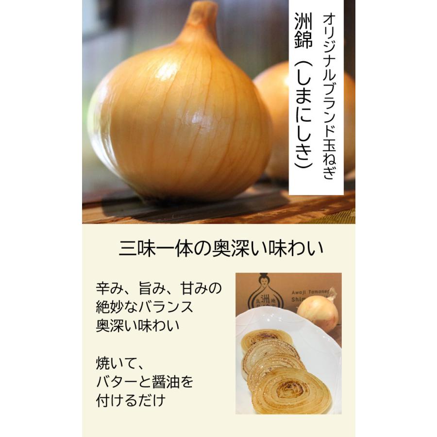 玉ねぎ 淡路島 ３ｋｇ 洲錦 （しまにしき） たまねぎ タマネギ オニオン onion 淡路島産 