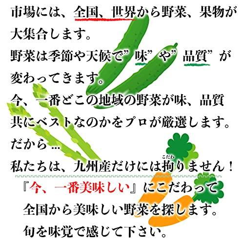 新鮮お野菜 12品以上 野菜セット オマケ4〜5品付き 九州市場から直送 野菜詰め合わせ