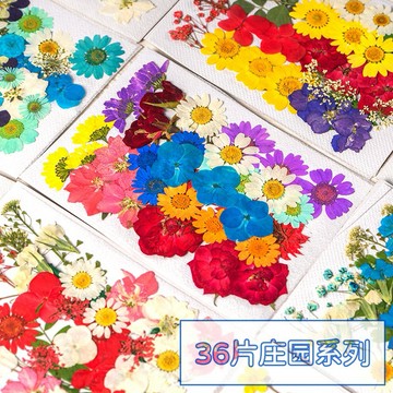 莊園系列 大花包組合 真花壓花 永生花 森林系 少女寫真 壁畫 DIY水晶滴膠 乾燥花 植物標本