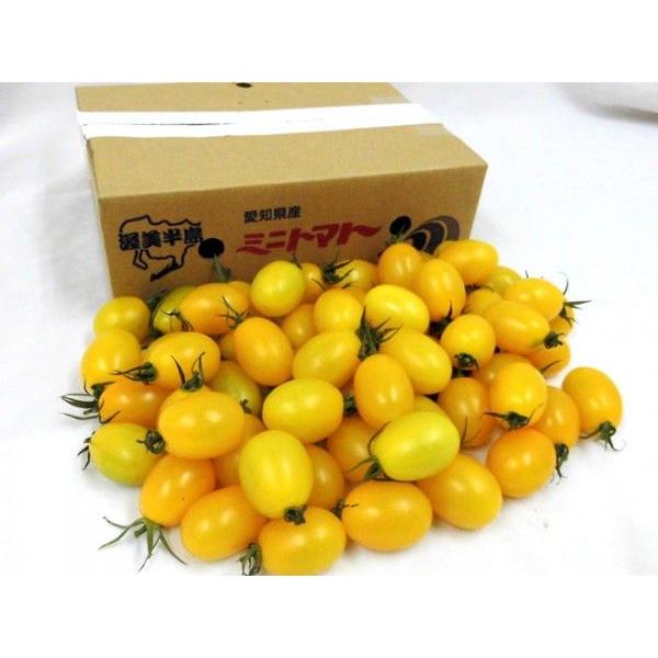 愛知県産 ”イエローアイコトマト” 秀品 約1kg