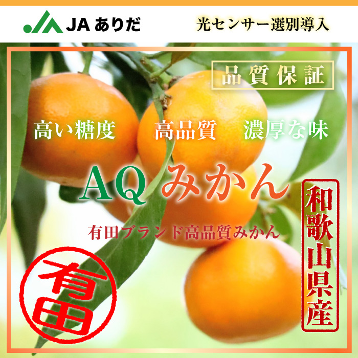 [予約 2023年11月1日-11月30日の納品] 有田みかん AQみかん 約9kg 2L 和歌山県有田産 JAありだ 高糖度 有田AQ選果場 産地箱 冬ギフト お歳暮 御歳暮