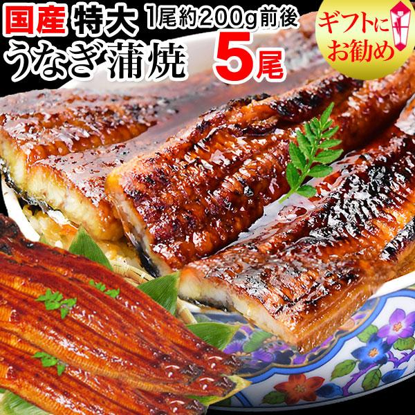 ギフト うなぎ 蒲焼き 国産 鰻 うなぎ蒲焼き 九州産 5尾 特大(約180〜200g前後×5尾) セール 宮崎・鹿児島県産