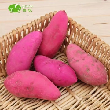 仿真水果模型 仿真蔬菜 假水果 模擬番薯紅番薯紫薯地瓜泡沫模型高仿假蔬菜水果兒童玩具裝潢教具