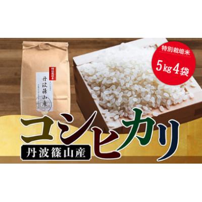 ふるさと納税 丹波篠山市 令和5年産新米　特Aランク米丹波篠山産コシヒカリ　20kg