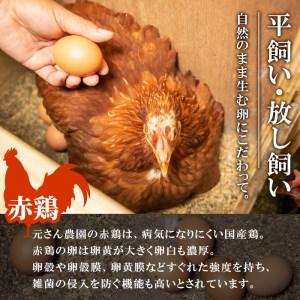 ふるさと納税 元さん農園 平飼い赤鶏のたまご (計20個・10個×2P) 元さん農園 卵 玉子 卵かけご飯 玉子焼き 平飼い 鶏 鶏卵 養鶏場直送 朝採.. 大分県佐伯市