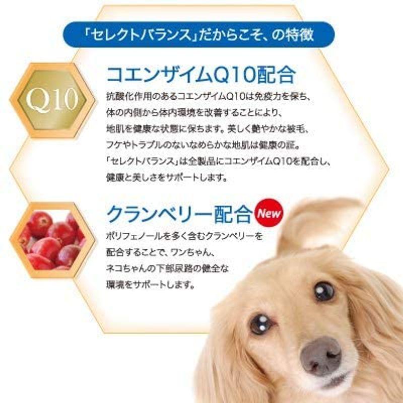 セレクトバランス パピー チキン 小粒 子犬・母犬用7kg