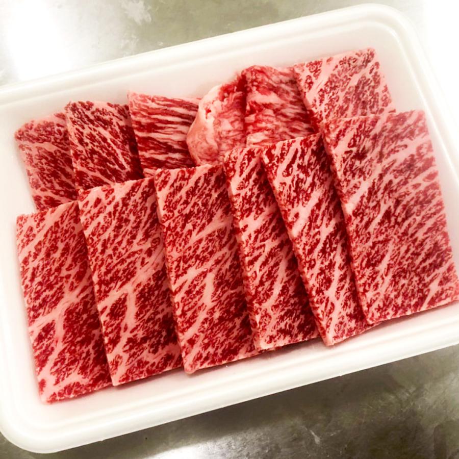 佐賀牛 おまかせ焼肉セット3種盛り 600g(200g×3パック) 3〜5名様用 カルビ・モモ・ウデ・ロースなど 送料無料