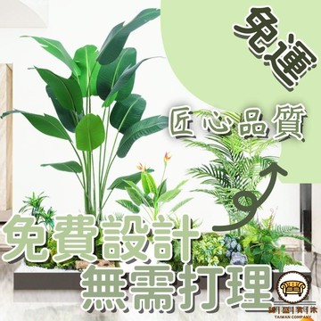 可開發票 工廠現貨 【復古仿真 宅配免運】仿真盆栽 大型落地仿生綠植 輕奢設計 景觀櫥窗裝飾 盆景擺件 大型網紅櫥窗裝飾 綠化植物特惠/全館折扣 售後保障 j547