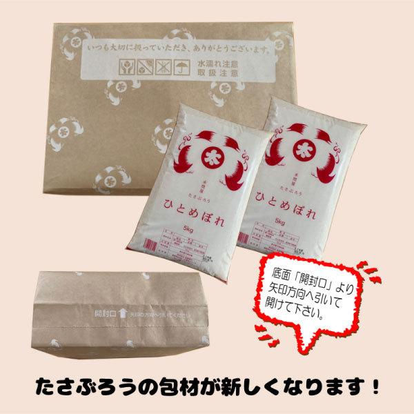 米 お米 米10kg  新米 ひとめぼれ 白米10kg 5kg x2袋 令和5年福島県産