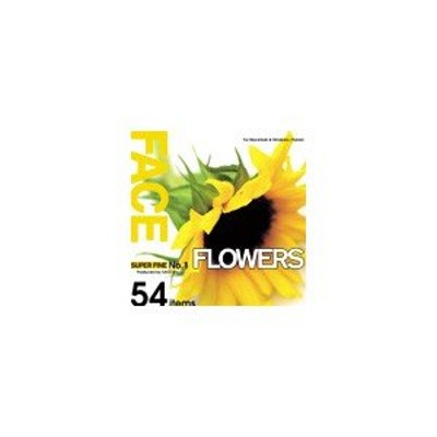 写真素材 SUPER FINE No.1 FLOWERS (花々) | LINEショッピング