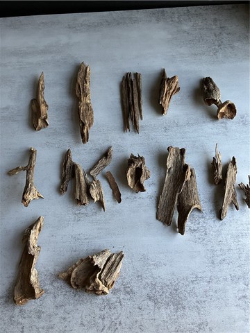 【上爐小料】【Super級】野生達拉幹_樹心油(內可挑造型)