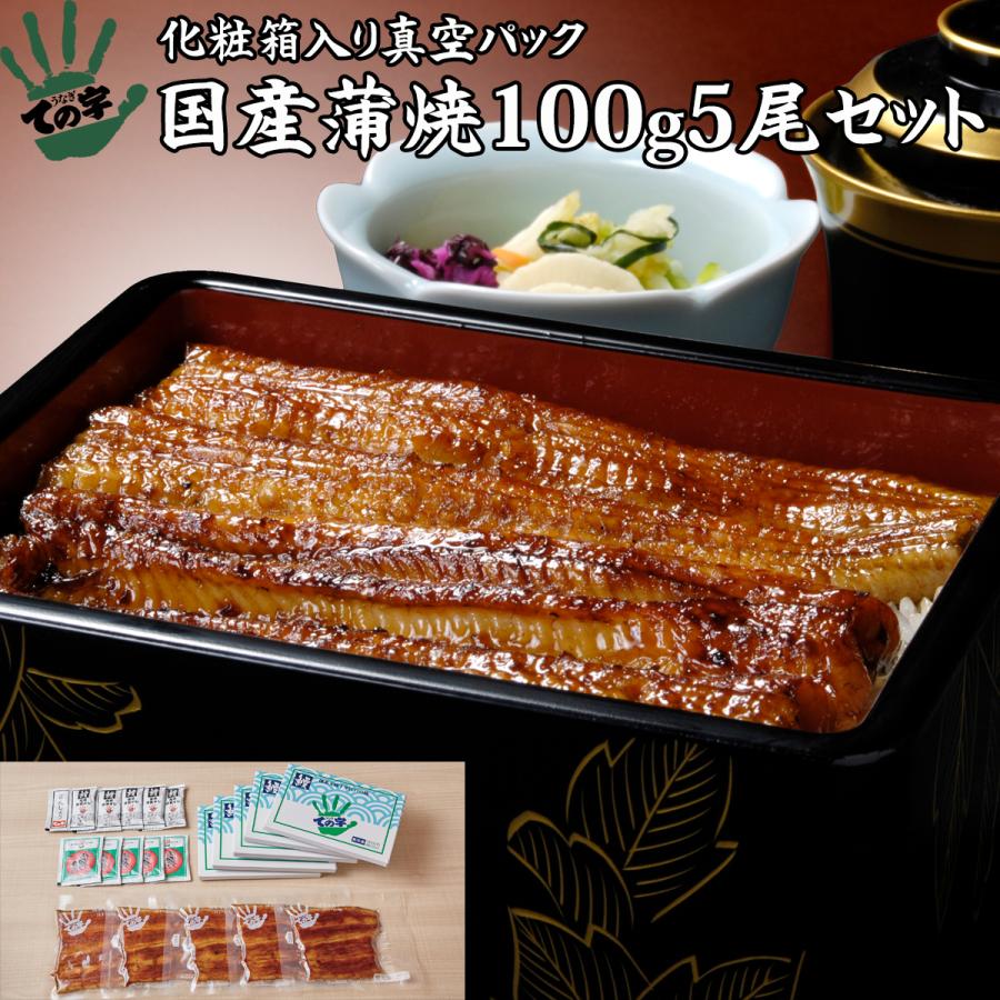 お歳暮 うなぎ 鰻 国産 プレゼント ギフト 蒲焼 100g×5セット ての字 化粧箱入り