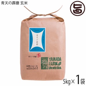 山田ふぁーむ さつき米青天の霹靂 玄米 5kg 青森県 お米 減化学肥料 減農薬