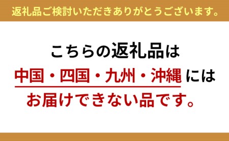 先行予約 農園厳選 さくらんぼ 南陽 2Lサイズ 以上600g（品質： ギフト 向け）