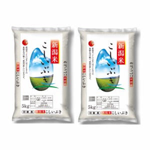 送料無料 新潟産こしいぶき 5Kg×2   お米 お取り寄せ グルメ 食品 ギフト プレゼント おすすめ お歳暮