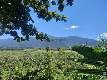 高樹最近市中心都農~1分鐘就到南進路熱鬧商圈｜屏東縣高樹鄉興中段