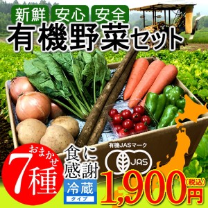 日本の有機野菜セット 旬のおまかせ7種類 全国ご当地生産者のこだわり有機栽培 ベジタブル スムージー 野菜材料