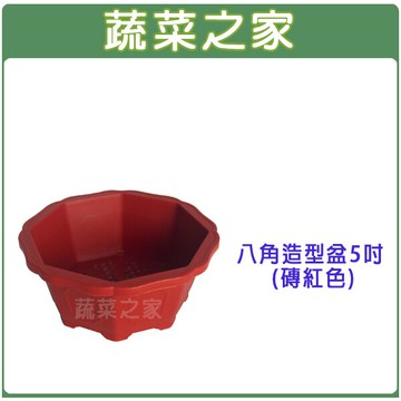 【蔬菜之家005-D109】八角造型盆5吋(磚紅色、棕色)