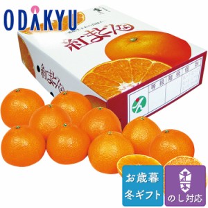 お歳暮 送料無料 2023 みかん フルーツ 愛媛県産 紅まどんな 計約3kg ※沖縄・離島へは届不可