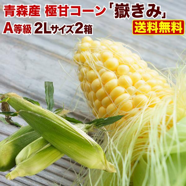 Y蔵　嶽きみ　とうもろこし　送料無料　コーン　(恵味)　10本入　朝採り　極甘　2箱セット　×2箱　青森県産　2Lサイズ　プレミアムA等級　産地直送　LINEショッピング