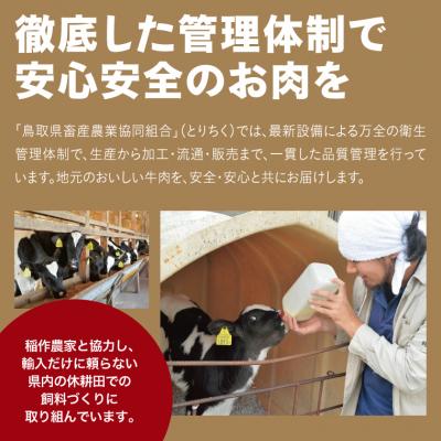 ふるさと納税 鳥取市 鳥取牛ロースステーキ 3枚(600g)