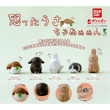 【日本正版】全套5款 氣死兔子了 扭蛋 轉蛋 憤怒的兔子 黑色兔子 白色兔子 灰色趴趴兔 站立兔 動物模型 BANDAI 萬代 - 889240