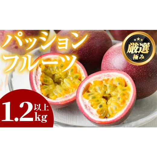 ふるさと納税 鹿児島県 東串良町 ゆきちゃん農園のパッションフルーツ(1.2kg以上)