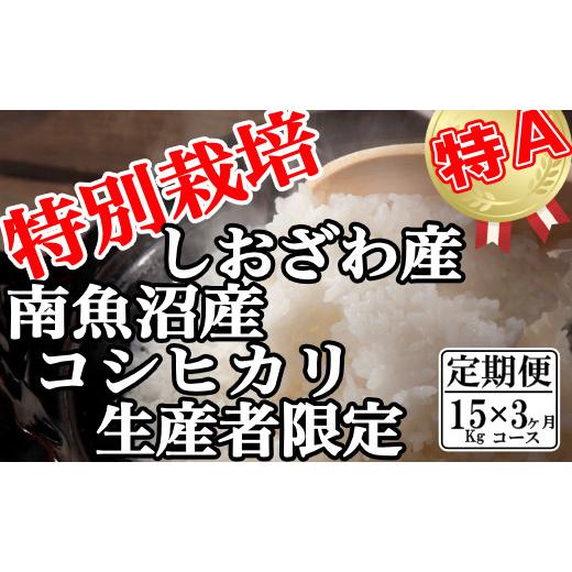 ふるさと納税 新潟県 南魚沼市 特別栽培 生産者限定  南魚沼しおざわ産コシヒカリ