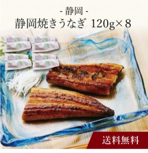 〔 静岡 静岡焼きうなぎ 〕お取り寄せ 送料無料 内祝い 出産内祝い 新築内祝い 快気祝い ギフト 贈り物