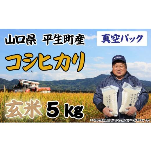 ふるさと納税 山口県 平生町 コシヒカリ 玄米 ５kg　新米　令和5年産　a8-1