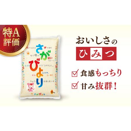 ふるさと納税 令和5年産 さがびより 白米 計60kg（5kg×2袋×6回） 佐賀県 株式会社森光商店[41ACB.. 佐賀県