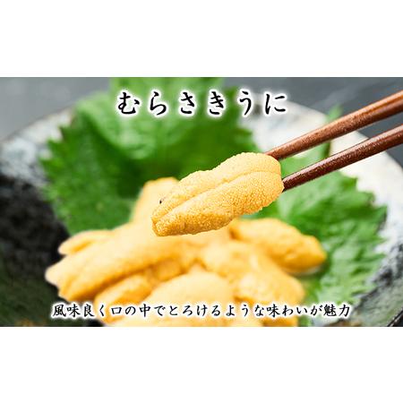 ふるさと納税 利尻島産 塩水 生うに むらさきうに100g×2■2024年6月より順次出荷■ 先行受付 ウニ 利尻  北海道利尻町