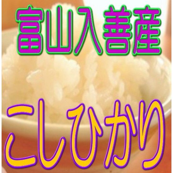 新米 白米 入善産こしひかり 2kg 令和5年産 富山県産