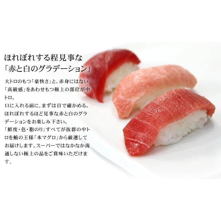 本マグロ大トロ中トロ赤身セット500g 送料無料 解凍レシピ付 刺身 食べ物《pbt-bf8》〈bf1〉yd9[[大中赤セット]