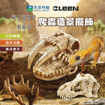 【亞米屋Yamiya】CLEEN其鱗 霸王龍頭骨X劍齒虎 爬蟲造景擺飾 角落特寵 角落水族 侏儸紀公園 爬寵生態 裝飾