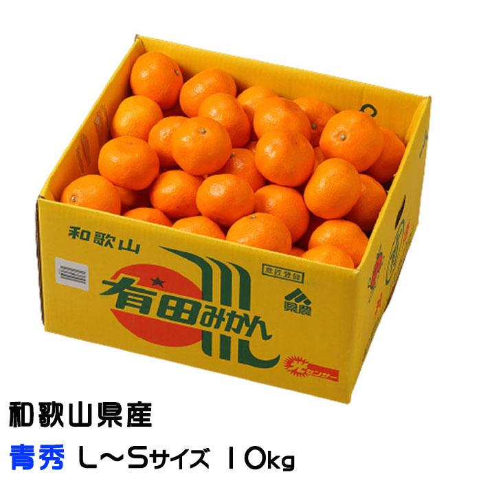 お歳暮 みかん 有田みかん 青秀 L〜Sサイズ 10kg 和歌山県産 JAありだ ミカン 蜜柑 ギフト