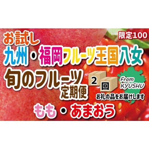 ふるさと納税 福岡県 八女市 九州・福岡フルーツ王国八女　お試し旬のフルーツ定期便 E｜＜配送不可：北海道・沖縄・離島＞