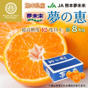 [予約 2024年1月1日必着] 夢の恵 8kg 熊本県産 JA熊本市夢未来 夢未来 みかん 高糖度 産地箱 お正月必着指定 お年賀 御年賀 冬ギフト