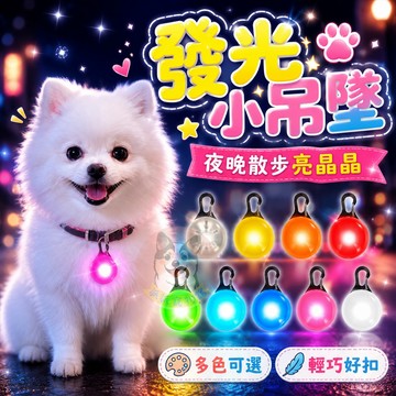 警示燈💡 發光小吊墜🌞 寵物發光吊墜 狗狗散步 夜間 遛狗 寵物燈 遛狗電燈 項圈燈 發光吊飾LED寵物發光項圈 狗狗燈