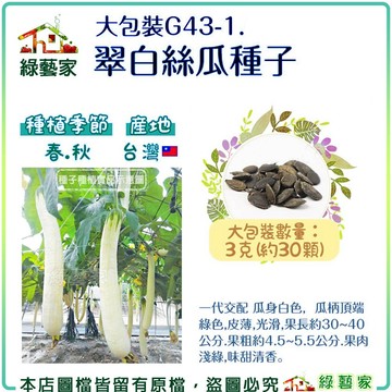 【綠藝家】大包裝G43-1一代交配 瓜身白色，瓜柄頂端綠色，皮薄，光滑.翠白絲瓜種子3克(約30顆)//