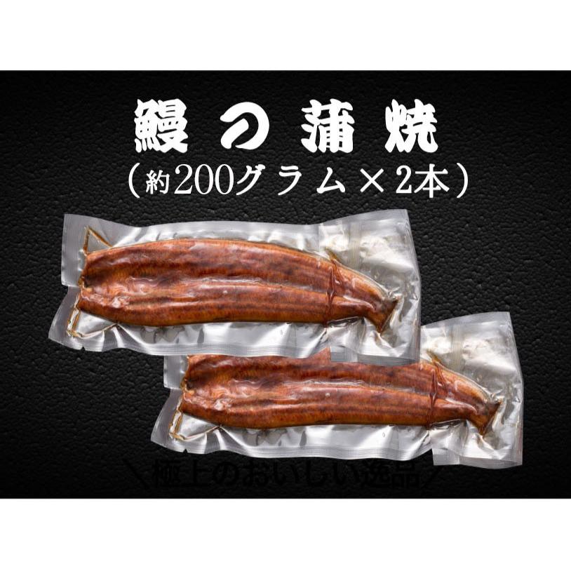 うなぎ 鰻 ウナギ 国産 うなぎ蒲焼  大サイズ蒲焼1尾 解凍前約200g(解凍後約185g)×2