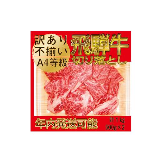 ふるさと納税 岐阜県 羽島市 飛騨牛　切り落とし　訳あり　不揃い　焼肉用　1kg（500g×2） Ａ4等級以上 焼き肉 焼肉 バーベキュー BBQ 霜降り ギ…