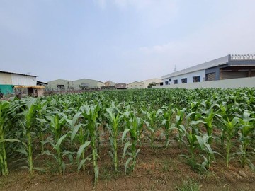 大寮赤崁潮寮方正城一農地｜高雄市大寮區赤崁段潮州寮小段