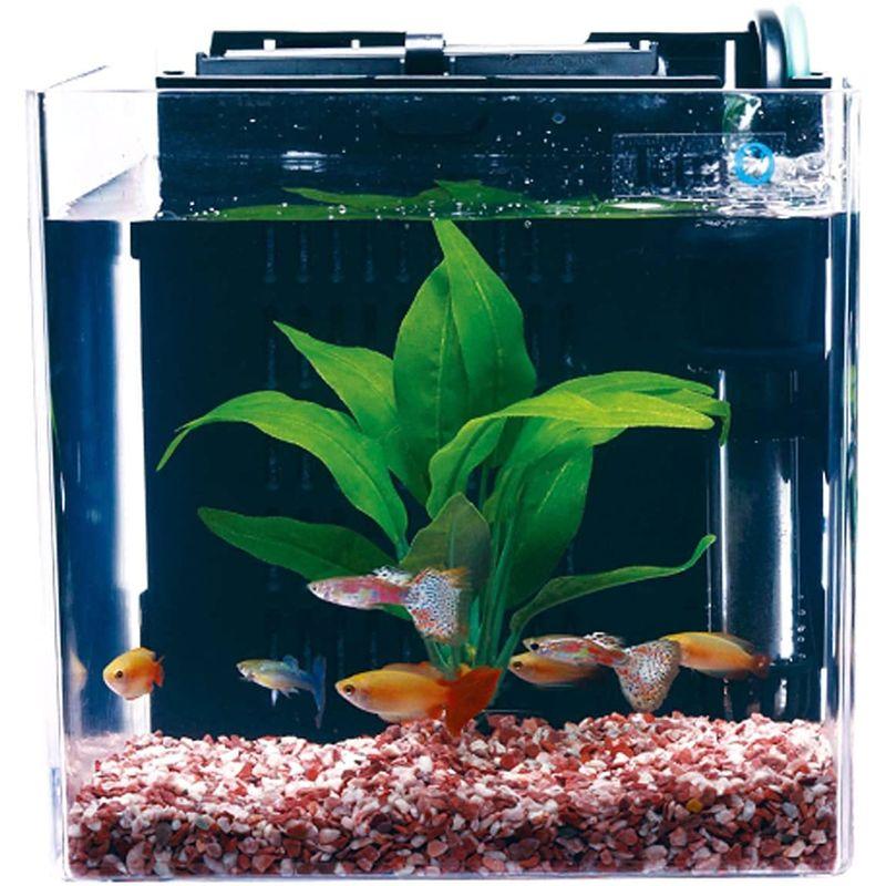 テトラ (Tetra) スマート熱帯魚飼育セットSP-17TF (水槽容量 5L) 水槽