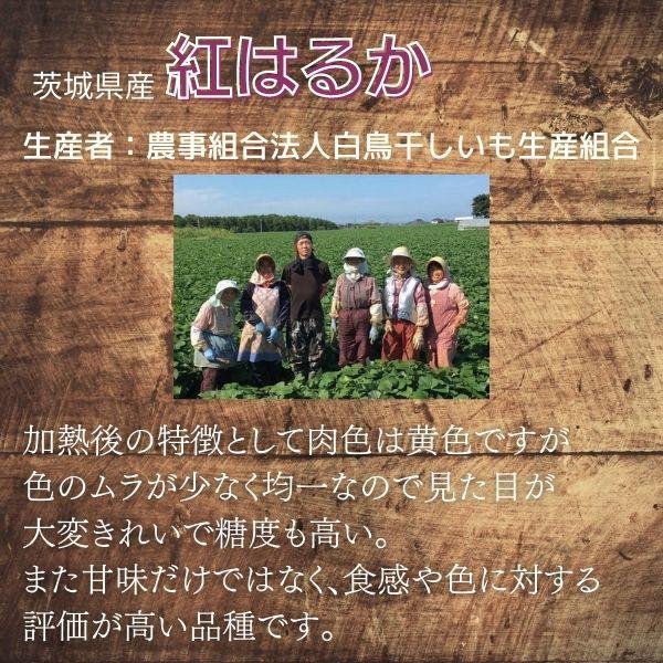 石焼いも 500g 茨城県産 紅はるか［冷凍］