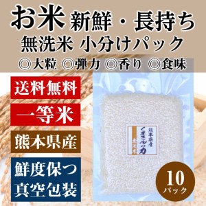 [前田家] 無洗米 小分けパック お 米 新鮮 長持ち 食味ランク 特A くまさんの力  2合 (300g) 10パック 精米　熊本県産 送料無料