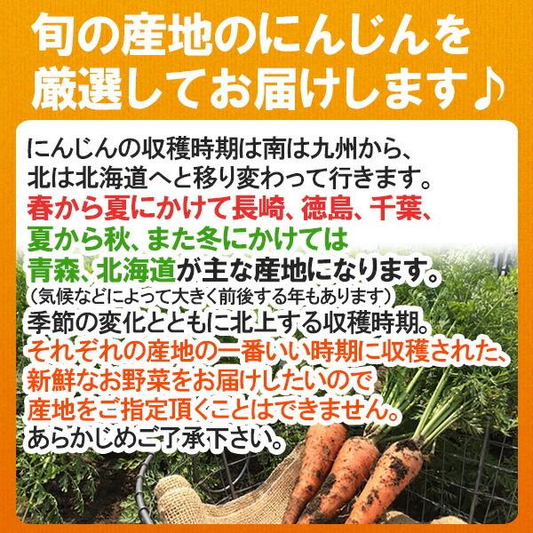 国内産限定 にんじん 訳あり 約10kg [クール便]  送料無料 ［指定日不可］